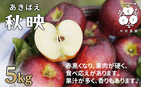 2026年産 りんご 5kg 樹上熟成 秋映 林檎 リンゴ 果物 くだもの フルーツ 旬の果物 旬のフルーツ 季節の果物 季節のフルーツ 美味しい果物 長野県産 長野県産りんご 信州 長野 長野県 長野市