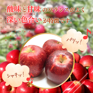 2026年産 りんご 5kg 樹上熟成 秋映 林檎 リンゴ 果物 くだもの フルーツ 旬の果物 旬のフルーツ 季節の果物 季節のフルーツ 美味しい果物 長野県産 長野県産りんご 信州 長野 長野県 長野市