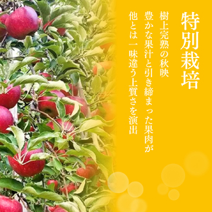 2026年産 りんご 5kg 樹上熟成 秋映 林檎 リンゴ 果物 くだもの フルーツ 旬の果物 旬のフルーツ 季節の果物 季節のフルーツ 美味しい果物 長野県産 長野県産りんご 信州 長野 長野県 長野市