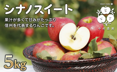 2026年産 りんご 5kg 樹上熟成 シナノスイート 林檎 リンゴ 果物 くだもの フルーツ 旬の果物 旬のフルーツ 季節の果物 季節のフルーツ 美味しい果物 長野県産 長野県産りんご 信州 長野 長野県 長野市
