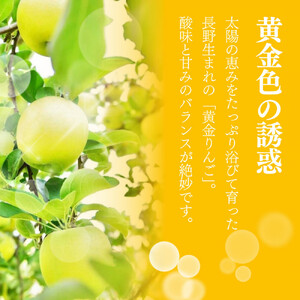 【10月中旬発送 先行予約】樹上熟成　シナノゴールド 3kg