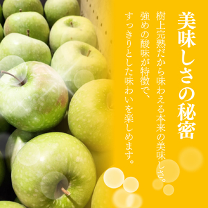 2026年産先行予約 樹上熟成 グラニースミス 3kg