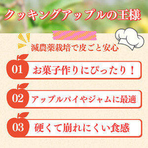 【10月下旬発送 先行予約】樹上熟成 グラニースミス 5kg