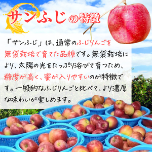 【2025年産】樹上熟成 サンふじ 5kg