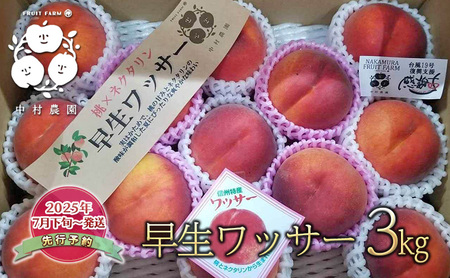 ⑩早生ワッサー家庭用10キロ 300円引き】クセになる食感！早生ワッサー 家庭用 約2.4kg（10
