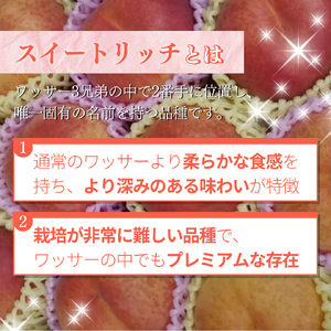 桃 先行予約 スイートリッチ 3kg 早生ワッサー 硬い桃 旬の果物 旬のフルーツ 2026