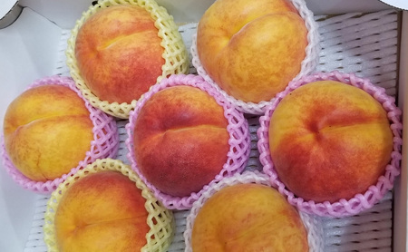  ワッサー 3kg 桃 ネクタリン 黄桃 硬い桃 果物 くだもの フルーツ 旬の果物 旬のフルーツ 季節の果物 季節のフルーツ 美味しい果物 長野県産 信州 長野 長野県 長野市
