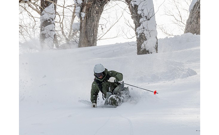 VECTOR GLIDE】スキー板 POLARVE STANDARD 180cm スキー ウィンタースポーツ スポーツ 日本製 長野 | 長野県長野市  | ふるさと納税サイト「ふるなび」