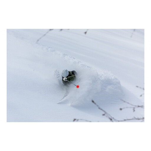 【VECTOR GLIDE】スキー板 POLARVE 186cm