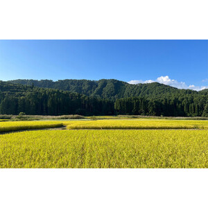 信州長野市芋井産 あきたこまち 5kg