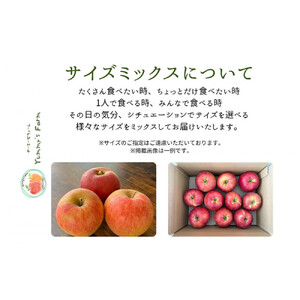 生産農家直送 人にやさしい 長沼りんご・サンふじ5kg(ご家庭用)