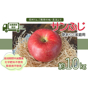 生産農家直送 人にやさしい 長沼りんご・サンふじ10kg（訳ありご家庭用）