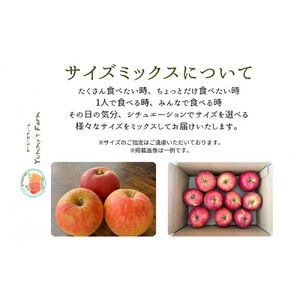 生産農家直送 人にやさしい 長沼りんご・サンふじ10kg（訳ありご家庭用）