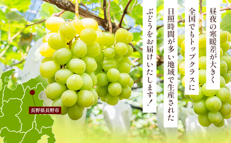 2026年産 クイーンルージュ? ＆シャインマスカット1kg以上2～3房入り