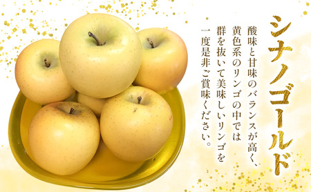 信濃の味 シナノゴールド 3kg 7玉~12玉入り