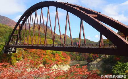 長野県 長野市 【裾花川本流・支流】 裾花川水系漁協 デジタル遊漁券 日券 アユ以外の魚種