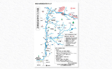 長野県 長野市 【裾花川本流・支流】 裾花川水系漁協 デジタル遊漁券 日券 アユ以外の魚種