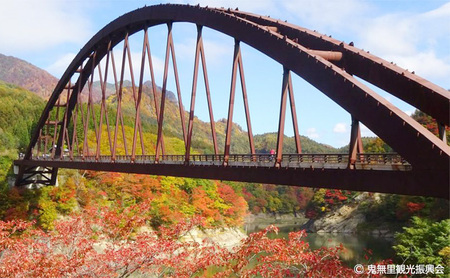 長野県 長野市 【裾花川本流・支流】 裾花川水系漁協 デジタル遊漁券 年券 アユ以外の魚種