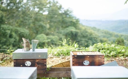 はちみつ 非加熱 北信州 戸隠 トチの花 完熟生はちみつ 100g ハチミツ 蜂蜜 無添加 長野 戸隠高原