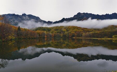 はちみつ 非加熱 北信州 戸隠 トチの花 完熟生はちみつ 100g ハチミツ 蜂蜜 無添加 長野 戸隠高原