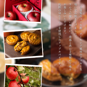 アップルパイ 【季節限定】小林農園りんごの窯出しアップルパイ5個入り お取り寄せ 絶品 焼菓子 ギフト 信州 長野