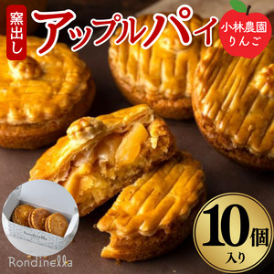 アップルパイ【季節限定】小林農園りんごの窯出しアップルパイ10個入り お取り寄せ 絶品 焼菓子 ギフト 信州 長野