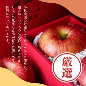 アップルパイ【季節限定】小林農園りんごの窯出しアップルパイ10個入り お取り寄せ 絶品 焼菓子 ギフト 信州 長野