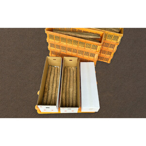 長芋（秋堀り）5kg