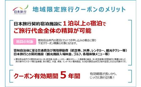 長野県長野市　日本旅行　地域限定旅行クーポン60,000円分 チケット