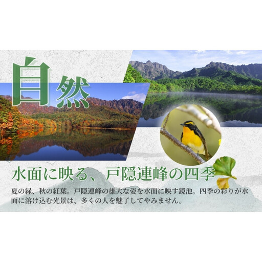 長野市戸隠内宿泊補助券 5000円分