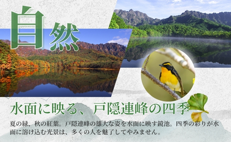 長野市戸隠内宿泊補助券 90000円分
