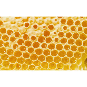 アカシア、りんご、百花はちみつセット　各200g×３本