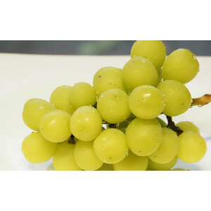 【セット】シャインマスカット、クイーンルージュセット　約1kg（2房）