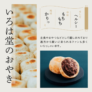 いろは堂 おやき12個詰合せ 長野 信州 レンジ 6種 老舗【2026年5月発送予定】