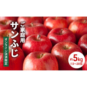 長野市産 サンふじ りんご 家庭用 訳あり 5kg 【2027年1月中旬頃より発送予定】