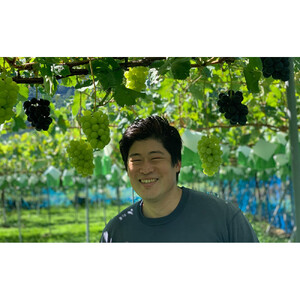 長野市産 シャインマスカット（贈答用） 2房【2026年9月下旬頃発送予定】