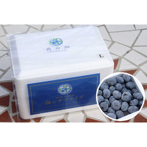 長野市産「森のサファイア」冷凍ブルーベリー（Lサイズ）500ｇスチロールパック