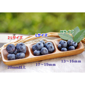 長野市産「森のサファイア」冷凍ブルーベリー（Mサイズ）500ｇスチロールパック