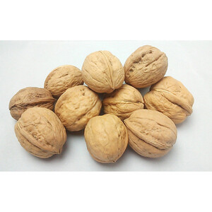 信州長野　菓子生くるみ　むきタイプ１００ｇｘ３袋