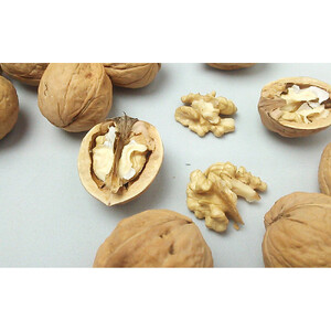 信州長野　菓子生くるみ　むきタイプ１００ｇｘ３袋