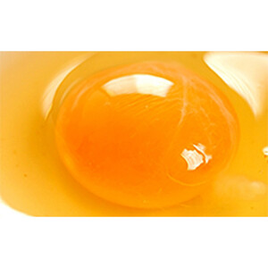 おぶせのたまご 40個