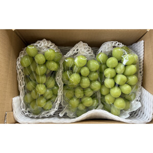 長野市産シャインマスカット3～4房（約2kg）【2026年9月中旬以降の出荷分】（本気農場いけだ）