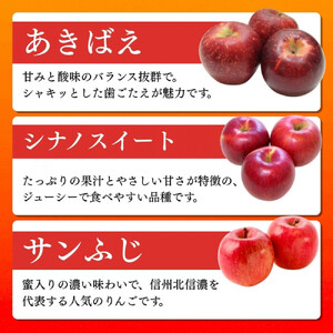 長野県 長野市産 ◎りんごの定期便◎ 10月～12月 3ヵ月連続5kg(12～20玉)ずつお届け　あきばえ・シナノスイート・サンふじ（矢島農園）