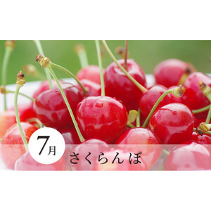 長野県 長野市産 〇季節のフルーツ〇8月～10月定期便　桃・シャインマスカット・シナノスイート ※オンライン限定　(矢島農園)