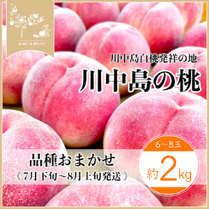 【先行予約】川中島の桃 約2kg 品種おまかせ  7月下旬～8月上旬発送予定