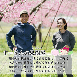 【先行予約】川中島の桃 約2kg 品種おまかせ  7月下旬～8月上旬発送予定