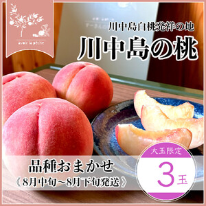 【先行予約】川中島の桃 大玉3玉 品種おまかせ 8月中旬～8月下旬発送予定