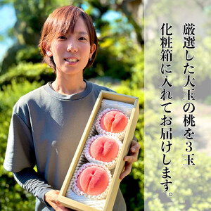 【先行予約】川中島の桃 大玉3玉 品種おまかせ 8月中旬～8月下旬発送予定