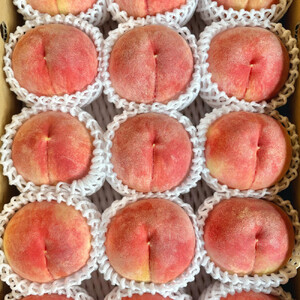 【先行予約】川中島の桃 大玉3玉 品種おまかせ 8月中旬～8月下旬発送予定