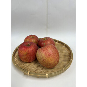 サンふじ(訳あり)3kg